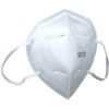 Mascherina Polvere FFP2